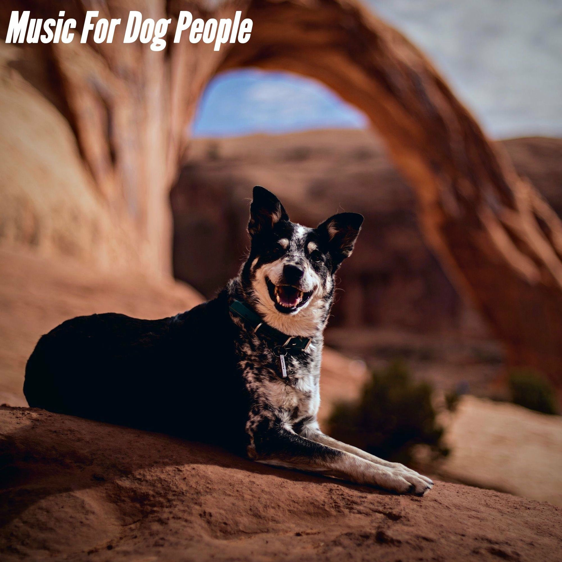 Album cover of Music For Dog People