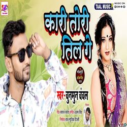 Cover of Kari Tori Til Ge