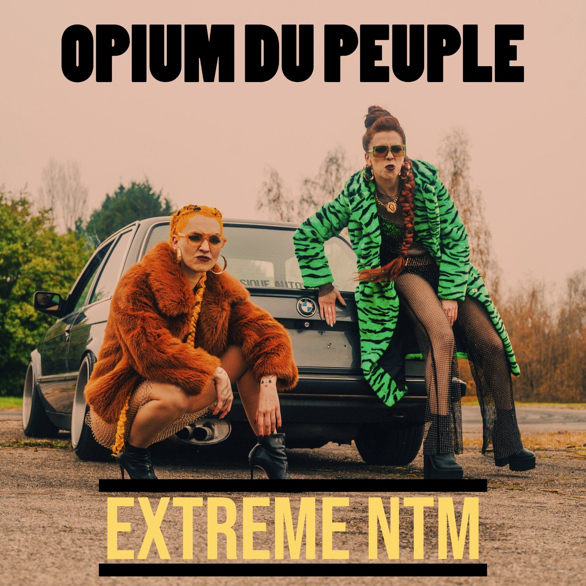 Album cover of Extreme ntm