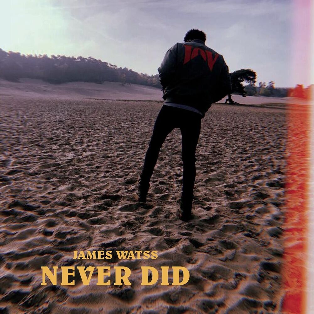 Picture of Never Did