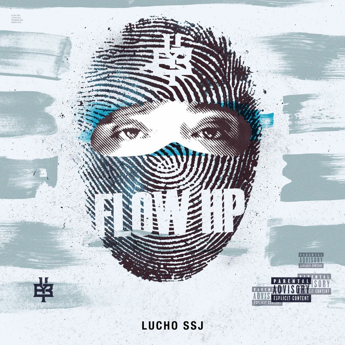 Album cover of Flow HP