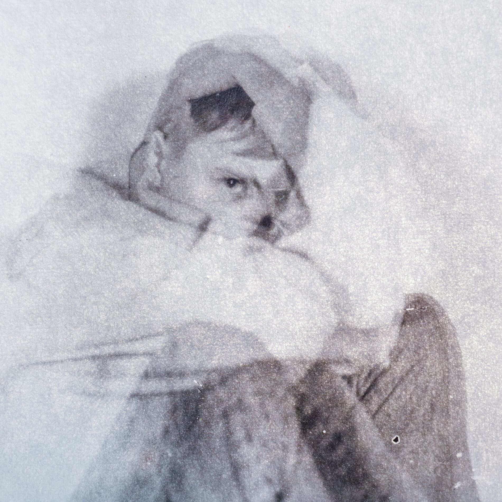 Album cover of Flood