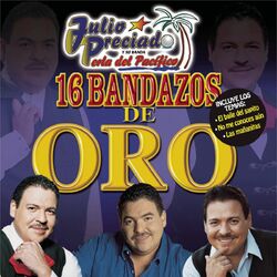 Cover of 16 Bandazos de Oro