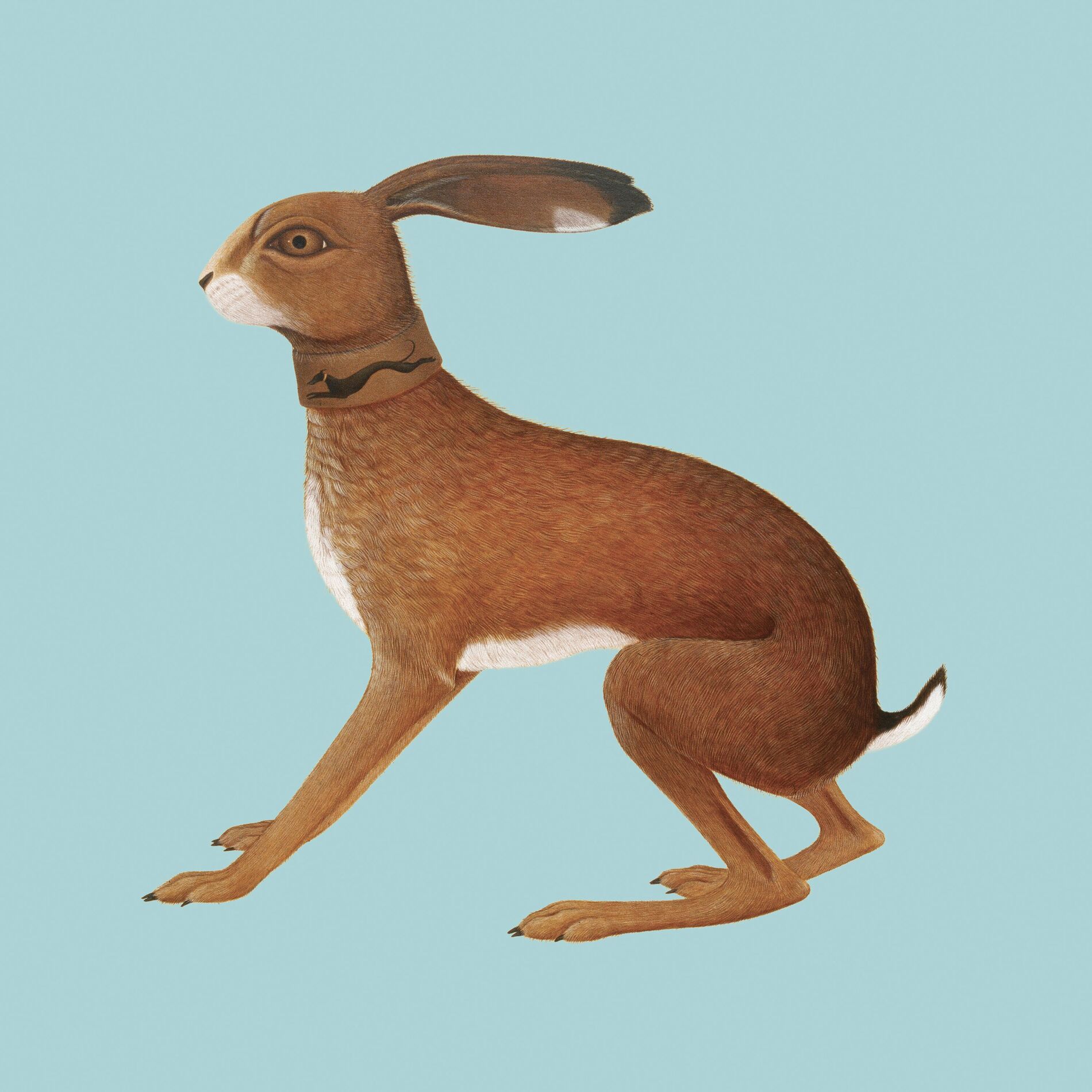 Album cover of Lookaftering – Expanded Edition