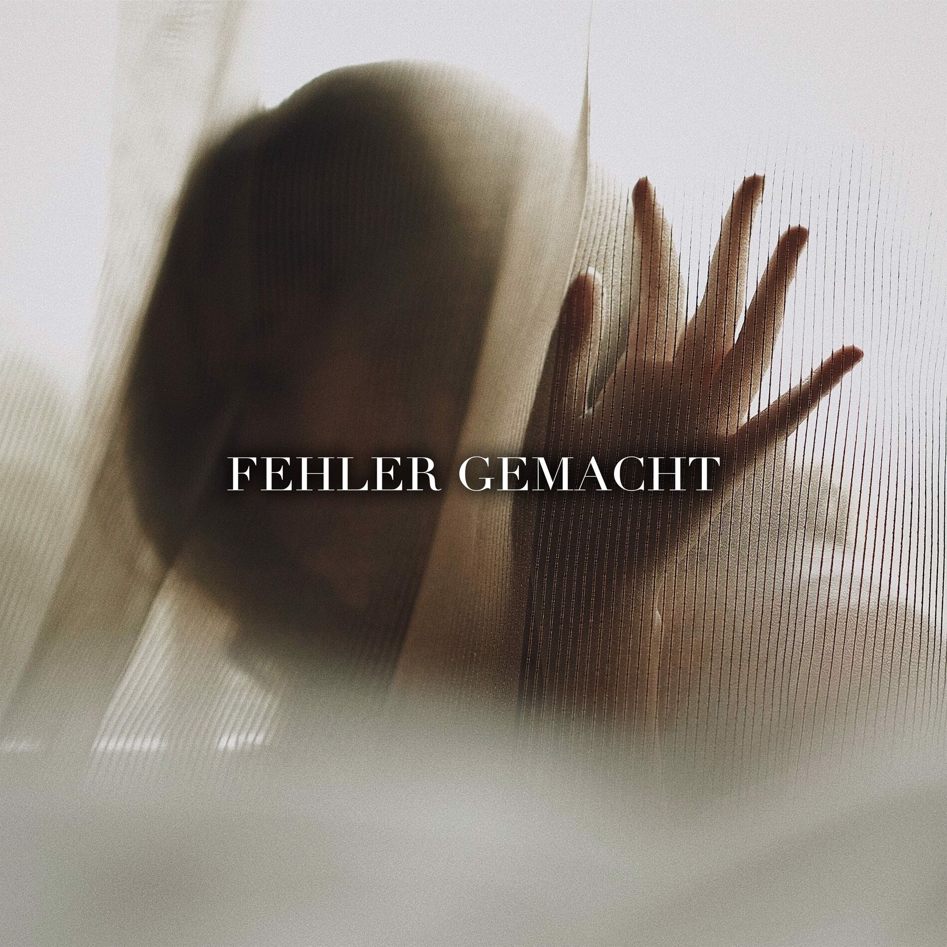 Album cover of Fehler gemacht