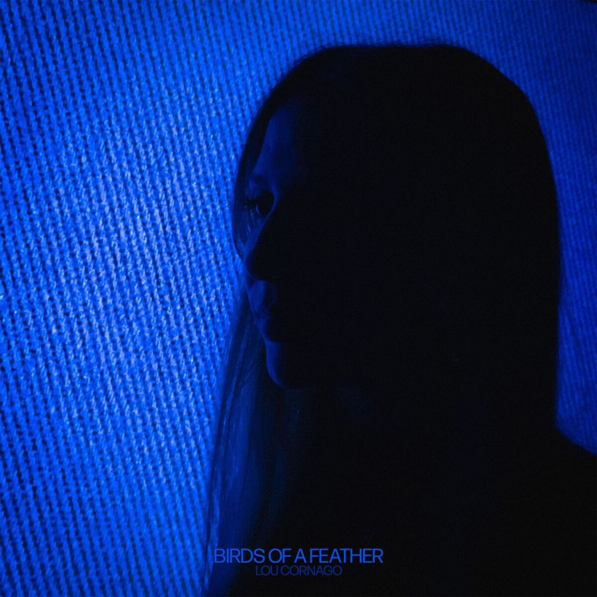Album cover of BIRDS OF A FEATHER
