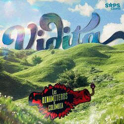 Cover of Vidita