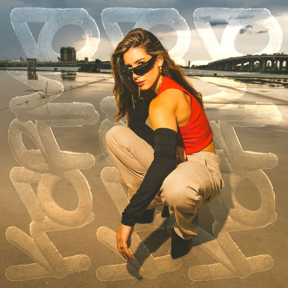 Album cover of KARMA