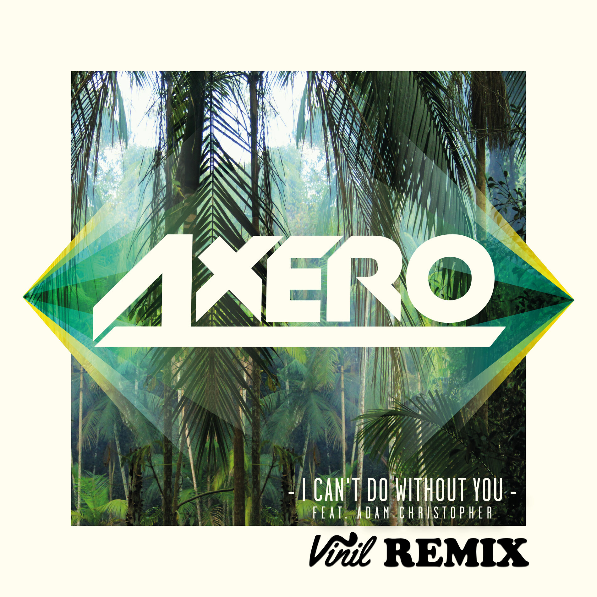 Album cover of I Can't Do Without You (feat. Adam Christopher) (Vinil Remix)