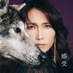 Kanjyu Shizuka Kudo 35th Anniversary self-cover album