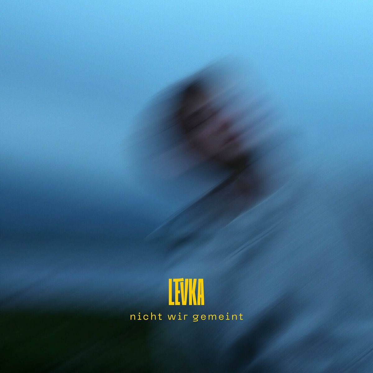 Album cover of nicht wir gemeint