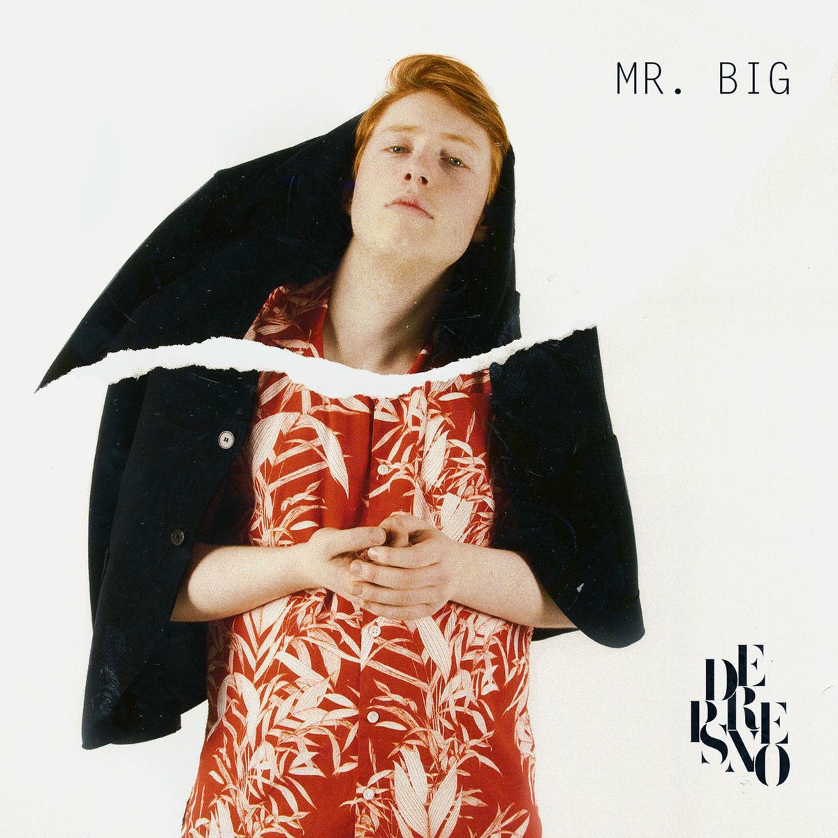 Album cover of Mr. Big