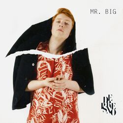 Cover of Mr. Big