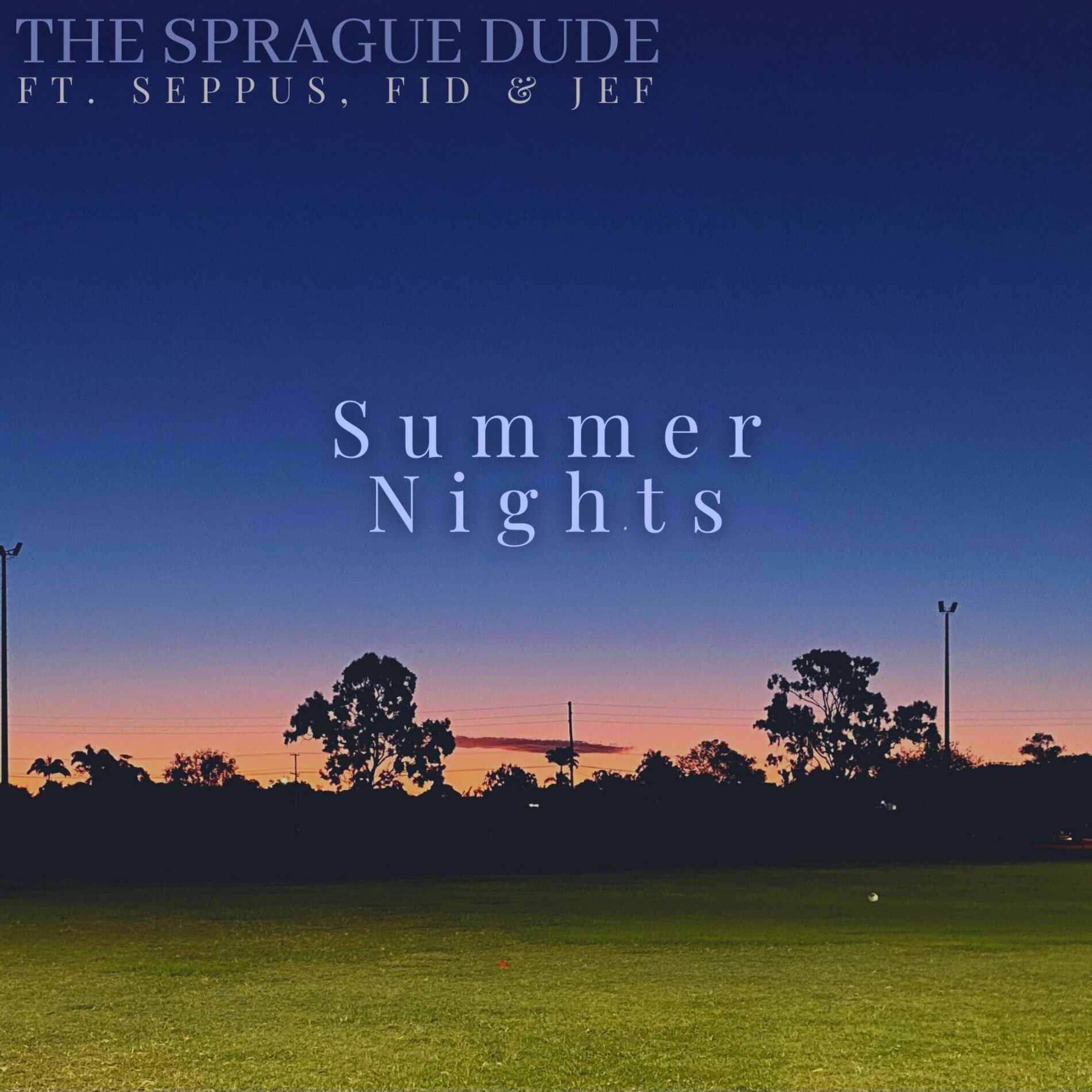 Album cover of Summer Nights (feat. Seppus, FID & jefxstr)