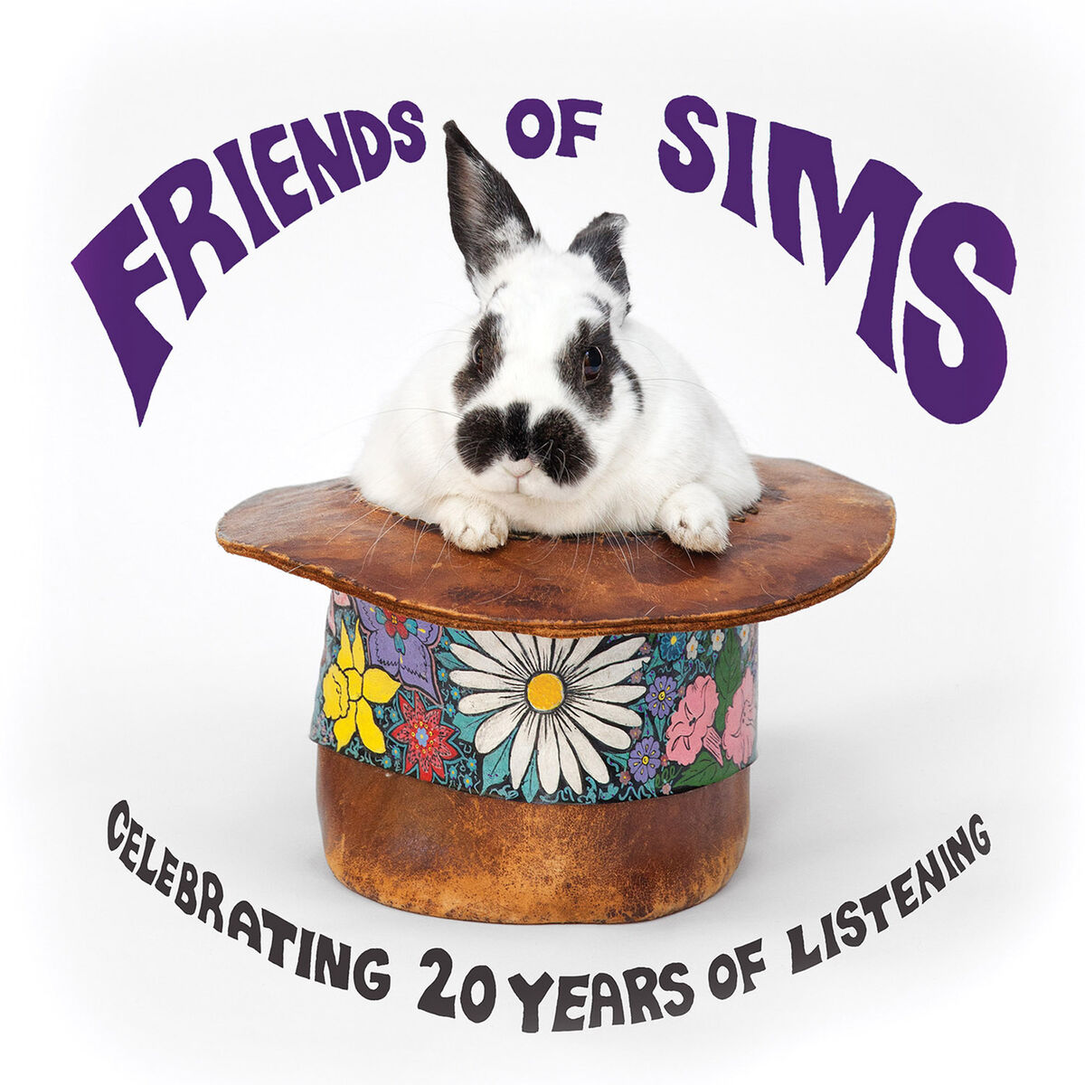 Album cover of Friends of Sims