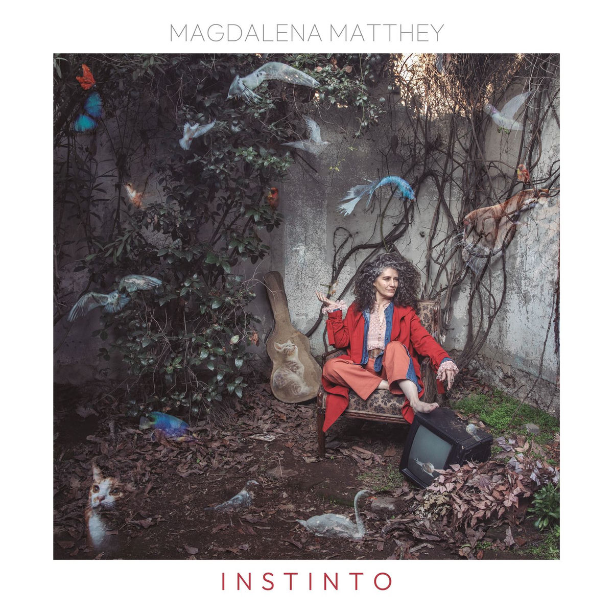 Album cover of Instinto