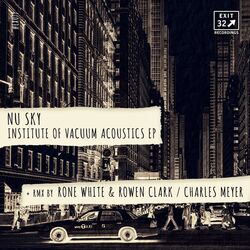 Cover of Institute Of Vacuum Acoustics