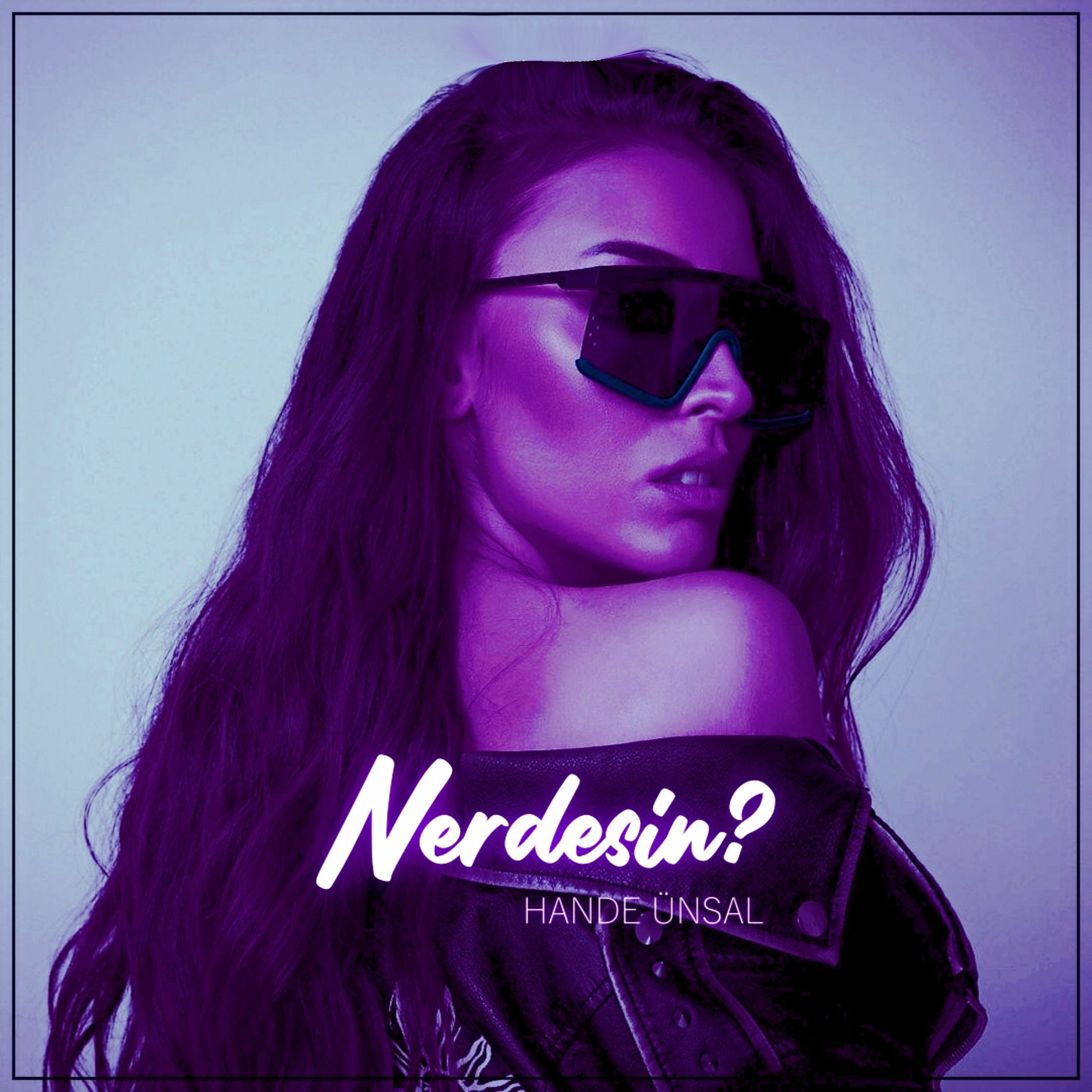 Album cover of Nerdesin?