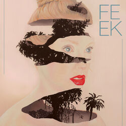 Cover of Feek