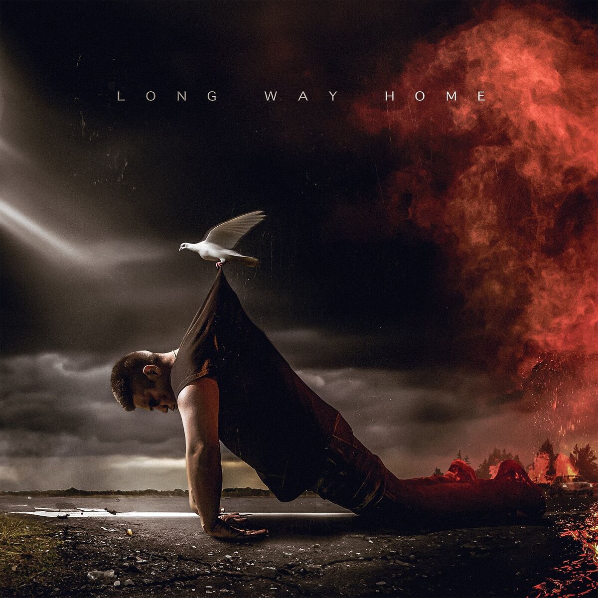 Album cover of Long Way Home