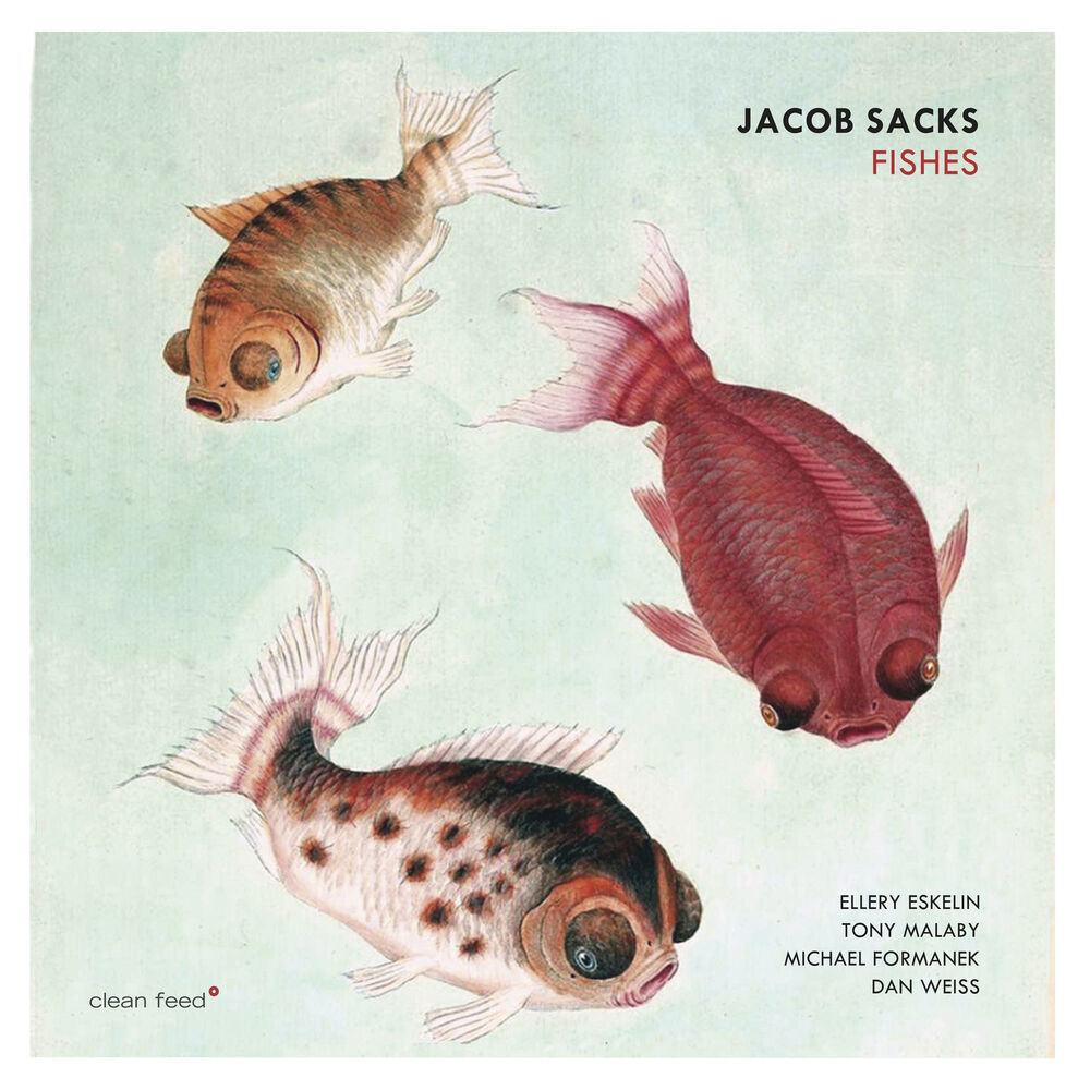 Picture of Fishes