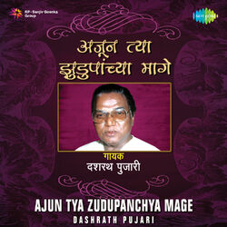 Cover of Ajun Tya Zudupanchya Mage