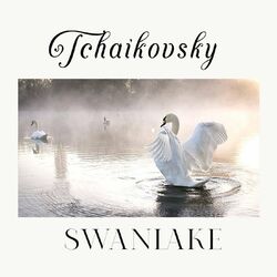 Cover of Tchaikovsky, Swanlake