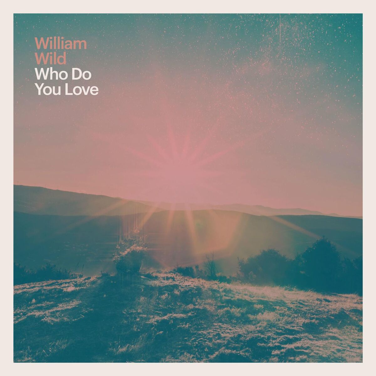 Album cover of Who Do You Love
