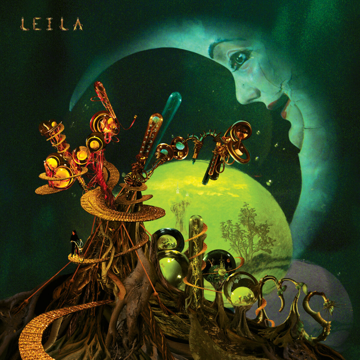 Album cover of Blood, Looms & Blooms
