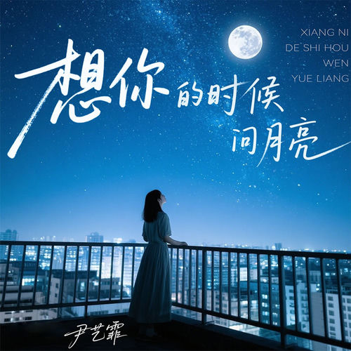 想你的时候问月亮