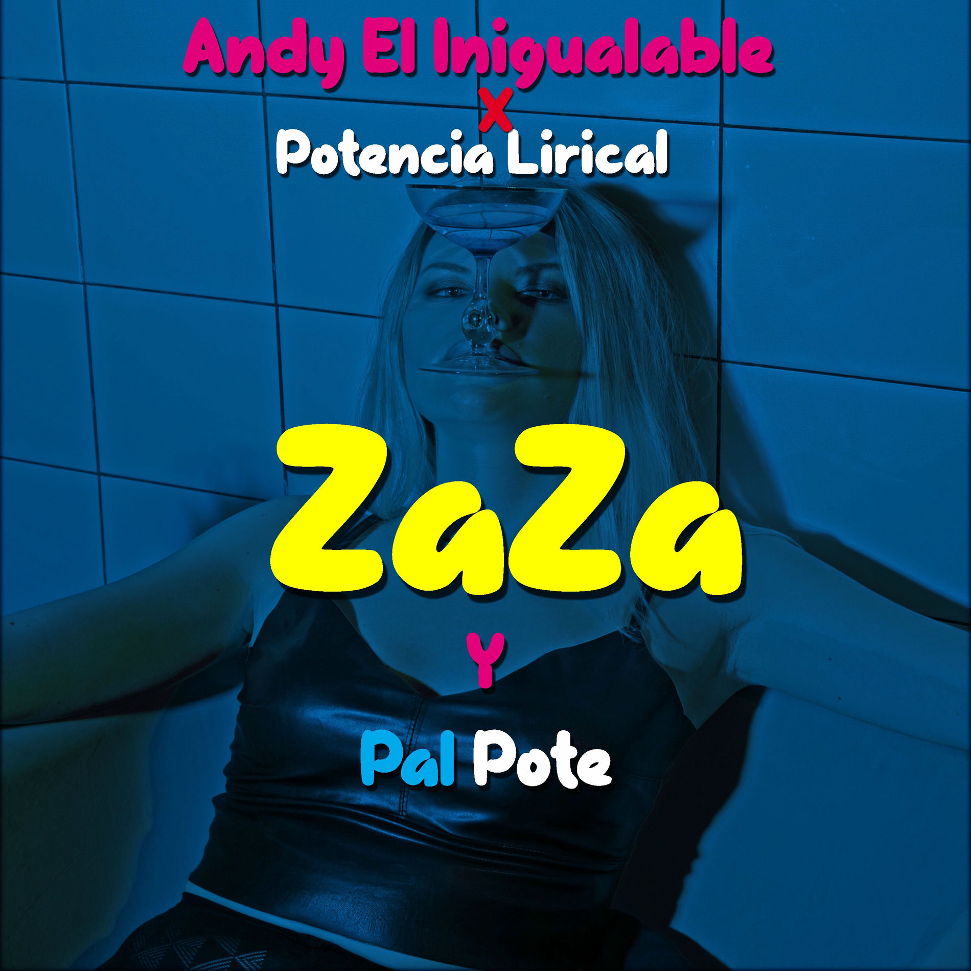 Album cover of Zaza y Pal Pote