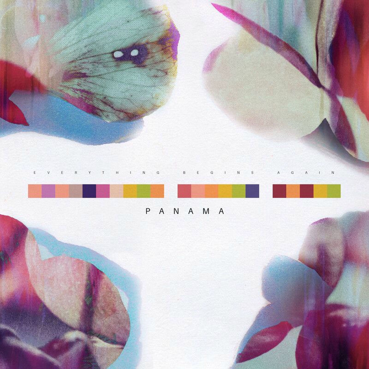 Album cover of Everything Begins Again