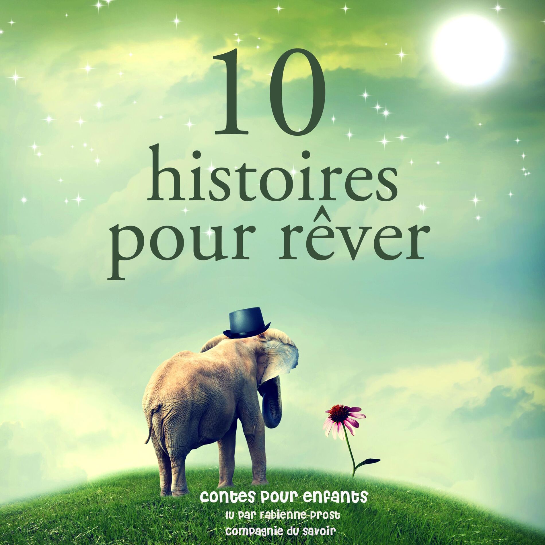 Album cover of 10 histoires pour rêver (Les plus beaux contes pour enfants)