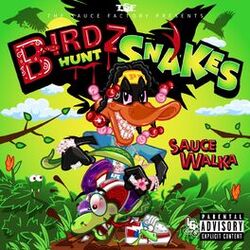 Cover of Birdz Hunt Snakes