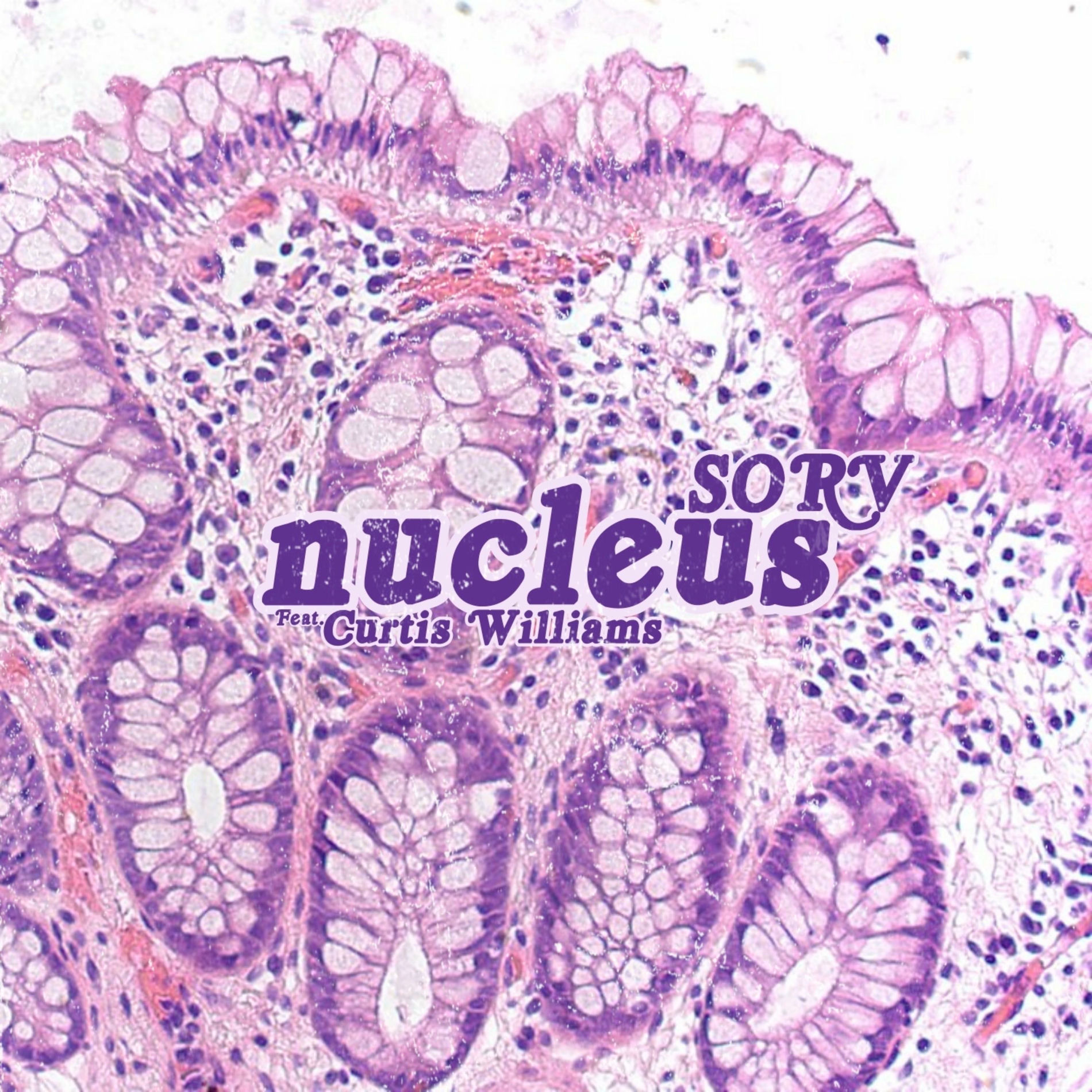 Album cover of Nucleus (feat. Curtis Williams)