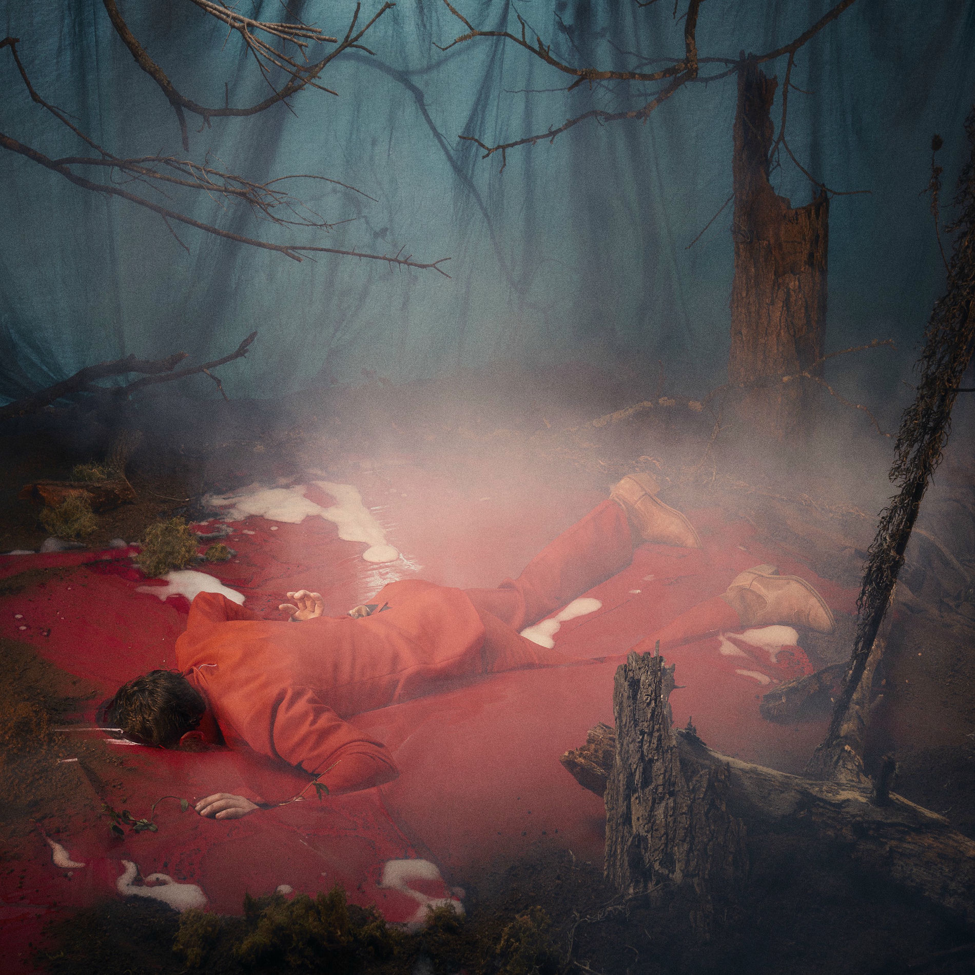 Album cover of The Fight Song (feat. Caitlin Rose)