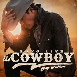 Cover of Long Live the Cowboy