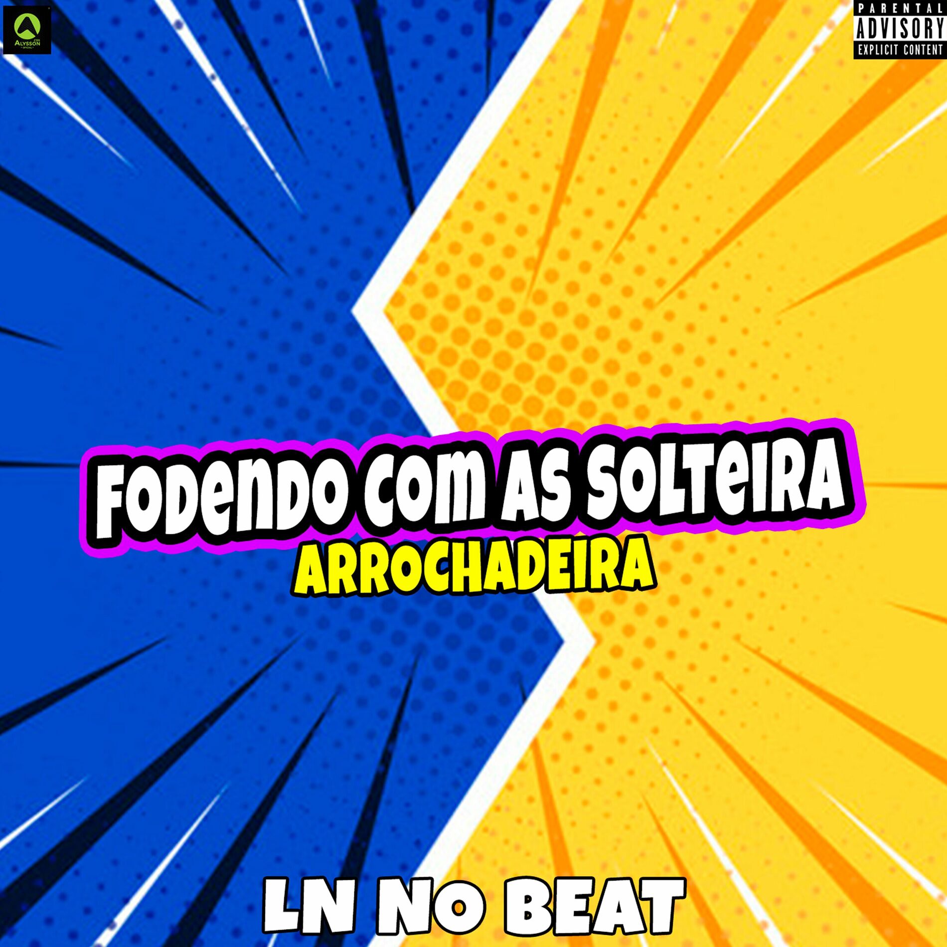 Album cover of Fodendo Com as Solteira Arrochadeira