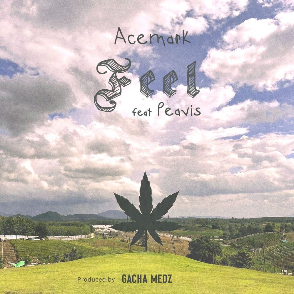 Picture of Feel (feat. PEAVIS)