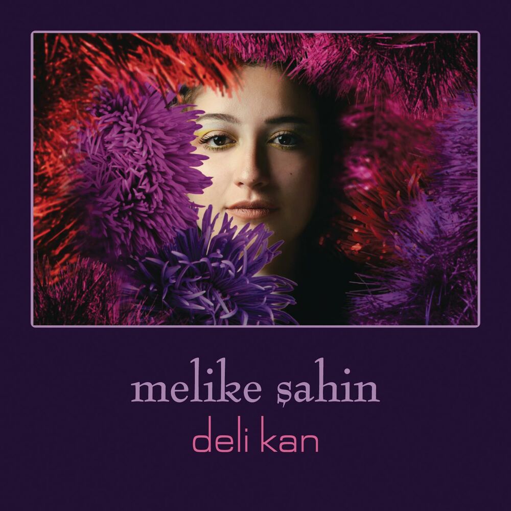 Picture of Deli Kan
