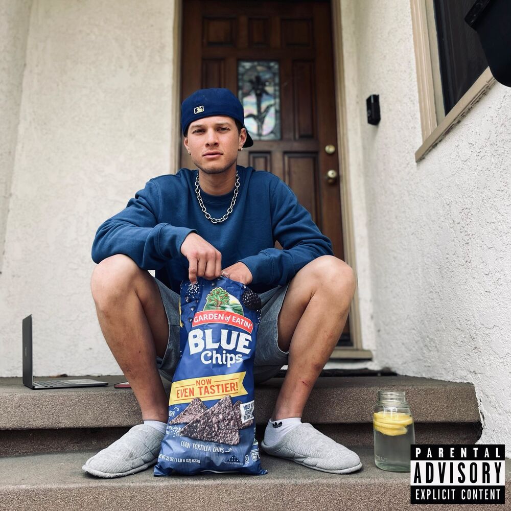 Picture of Big Blue Chips