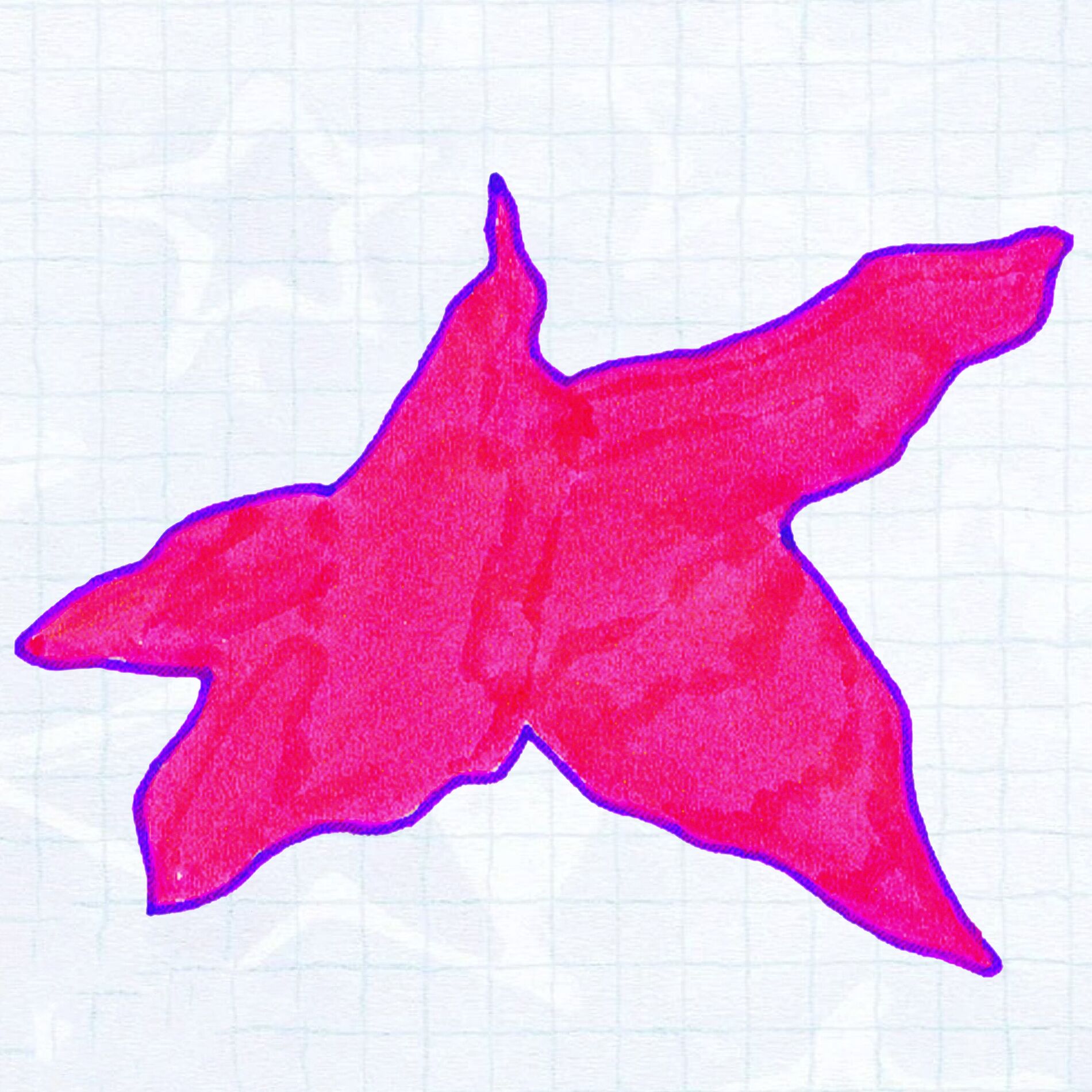 Album cover of Starsiigns