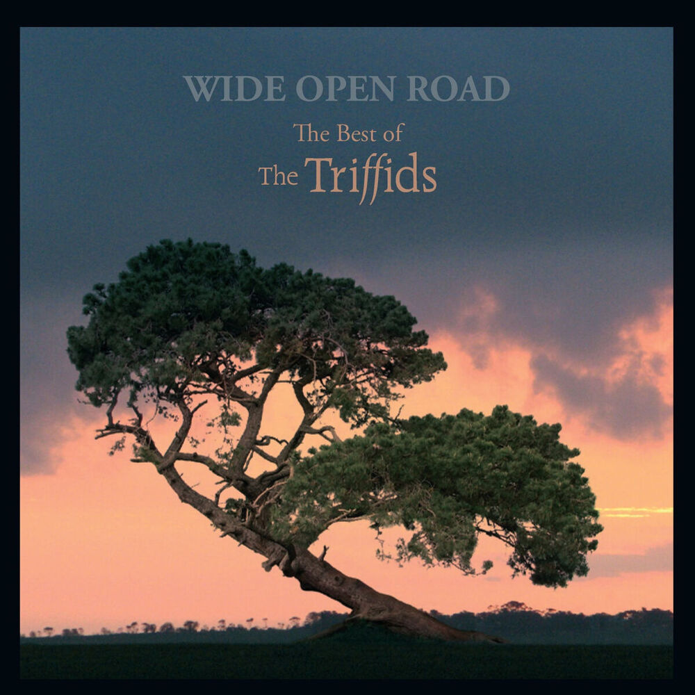 Picture of Wide Open Road - The Best of the Triffids