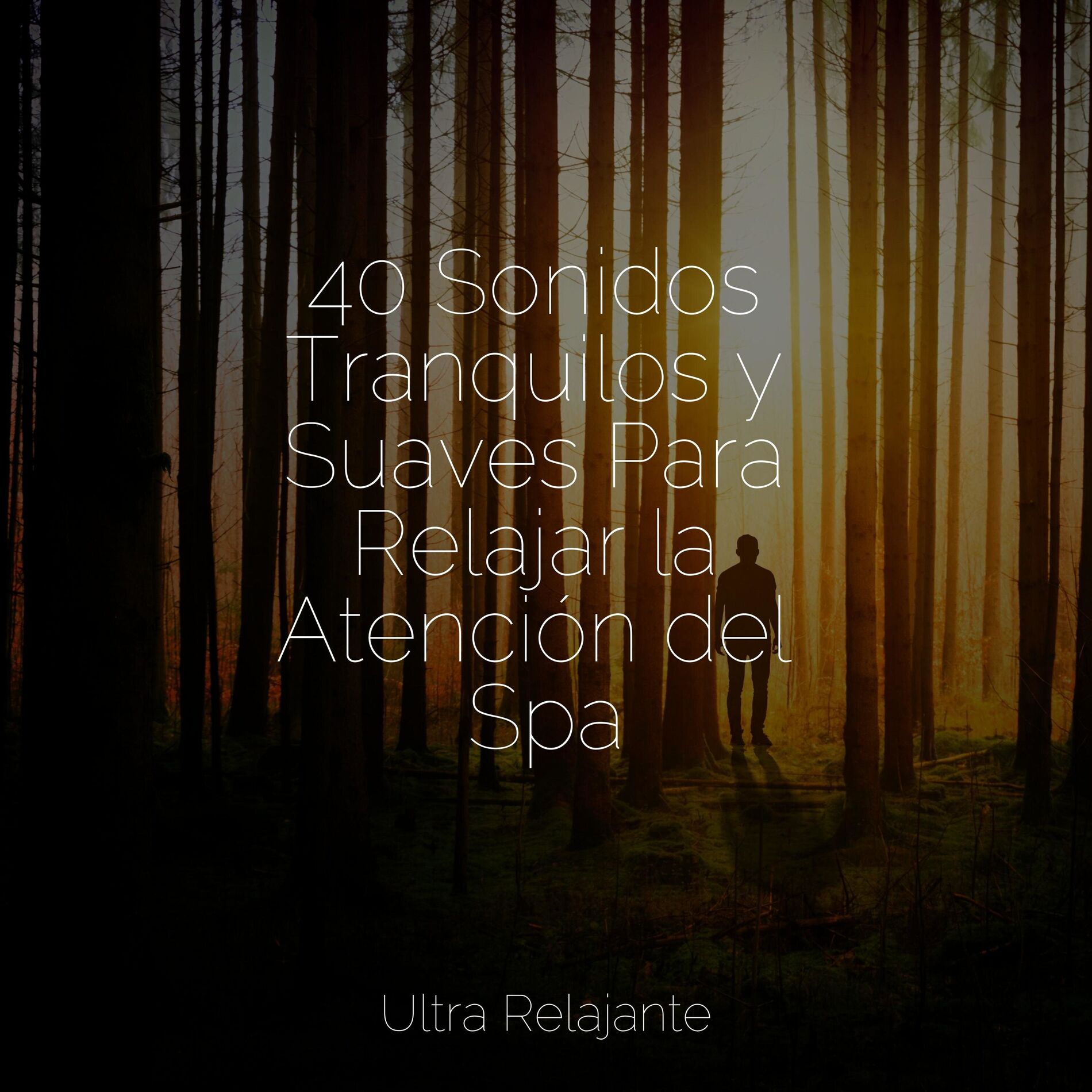 Album cover of 40 Sonidos Tranquilos y Suaves Para Relajar la Atención del Spa