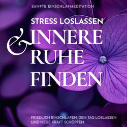 Sanfte Einschlafmeditation: Stress loslassen & innere Ruhe finden (Friedlich einschlafen, den Tag loslassen und neue Kraft schöpfen)