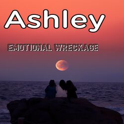 Cover of Emotional Wreckage