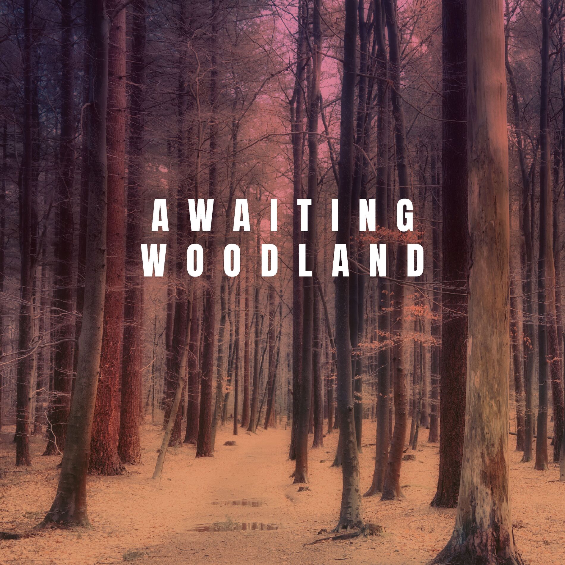 Album cover of Awaiting Woodland