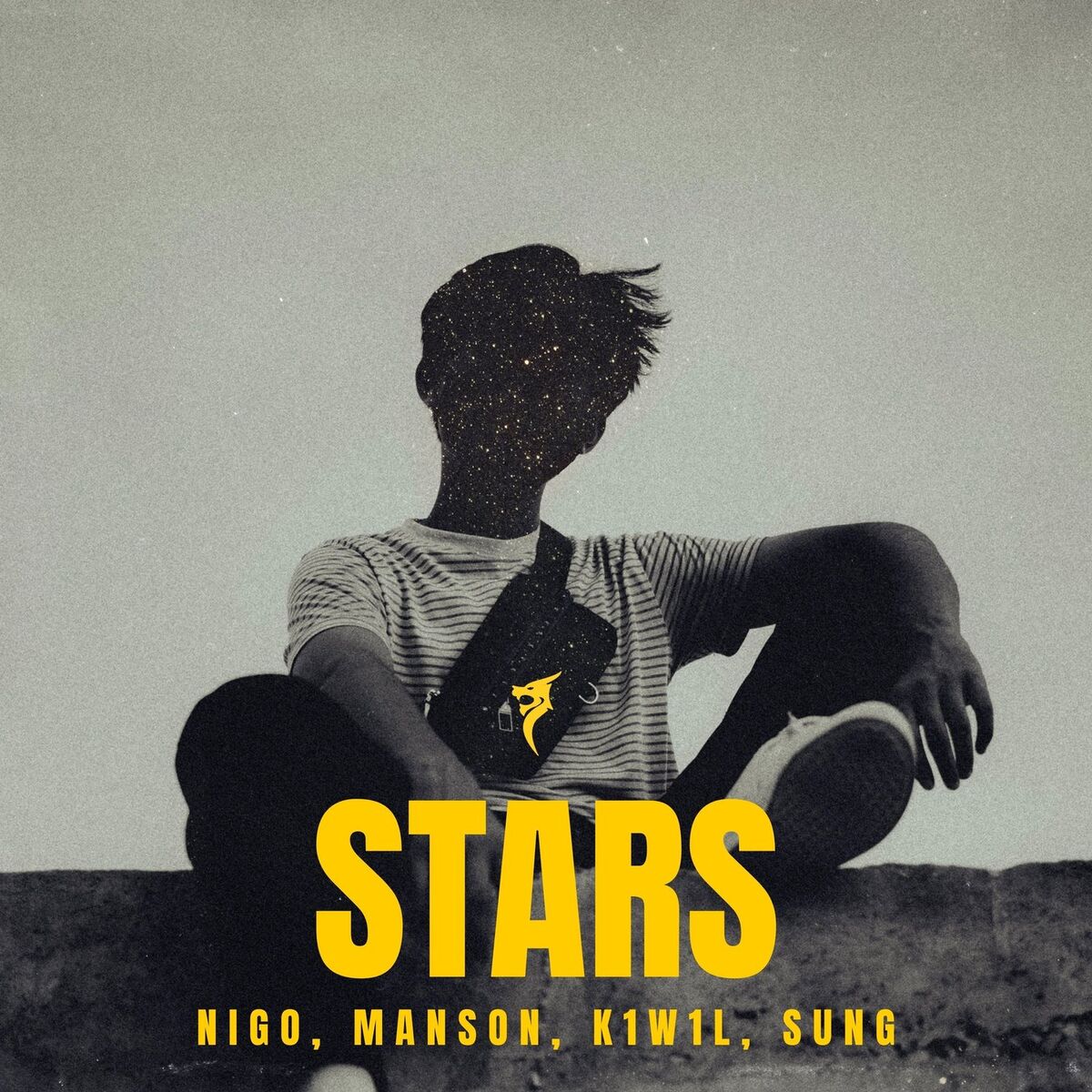 Album cover of Stars