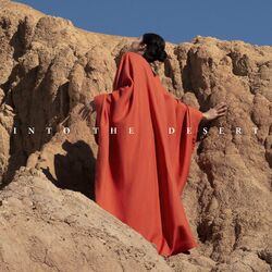 Cover of Into the Desert