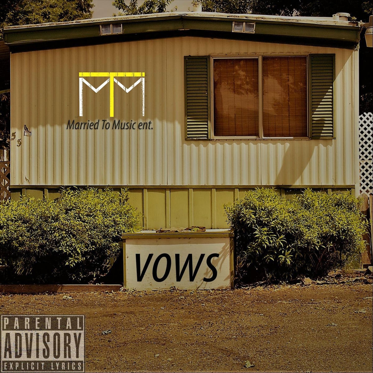 Album cover of Vows